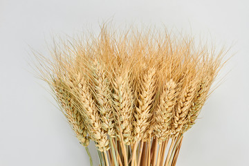 Sheaf of wheat ears on grey background. Bunch of wheat ears. Concept of harvest.