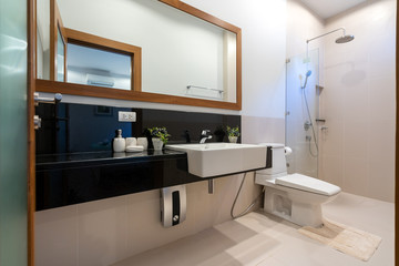 Modern toilet in luxury home