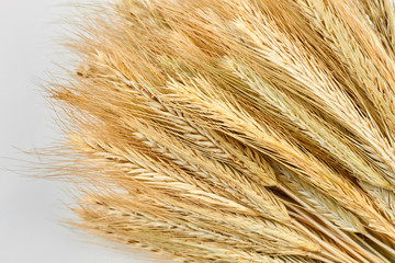 Heap of wheat ears. Close up sheaf of barley ears. Concept of agriculture.