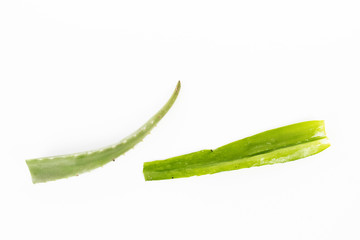 Isolated aloe vera leaves on a white background