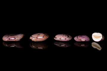 Group of four whole one half of fresh speckled bean pinto isolated on black glass