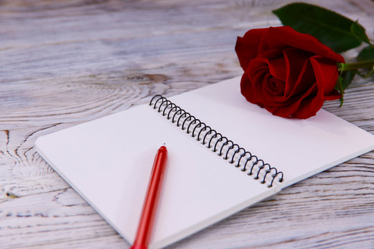 Valentine's day background. On a gray wooden background, an opened notebook, a red pen and a red rose. Close-up, horizontal, side view, free space for text.