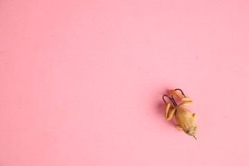 Saragossa Spain. September 18, 2019 fishing lures