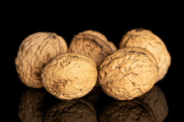 Group of five whole fresh brown walnut isolated on black glass