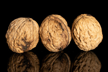 Group of three whole fresh brown walnut isolated on black glass
