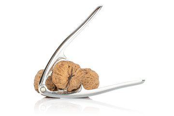 Group of three whole fresh brown walnut with nutcracker isolated on white background