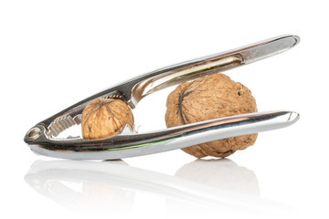 Group of two whole fresh brown walnut with nutcracker isolated on white background