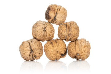 Group of six whole fresh brown walnut stack isolated on white background