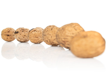 Lot of whole oval fresh brown walnut back focus isolated on white background