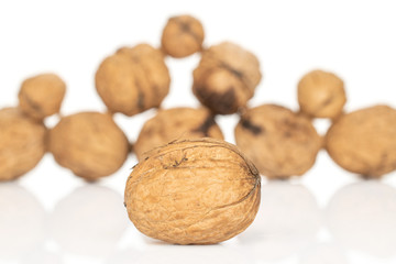 Lot of whole fresh brown walnut front focus isolated on white background