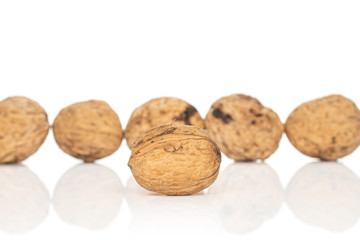 Group of six whole fresh brown walnut one in focus isolated on white background