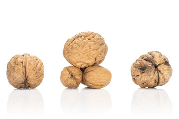 Group of six whole fresh brown walnut isolated on white background