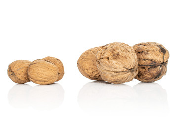 Group of six whole fresh brown walnut isolated on white background
