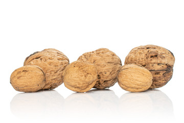 Group of six whole fresh brown walnut isolated on white background
