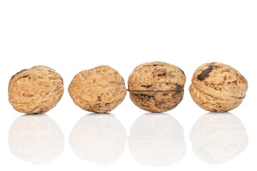 Group of four whole fresh brown walnut line isolated on white background