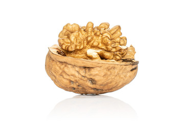 One whole open fresh brown walnut isolated on white background