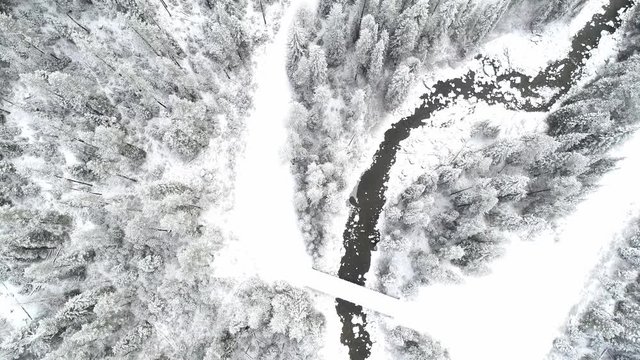 Aerial view of a creek and road that winds through a forest in winter snow