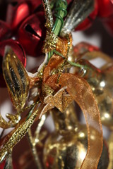 Photobackground.Titus.6338