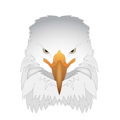 isolated picture of an eagle on a white background .vector illustration