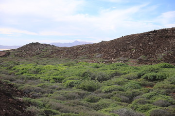 Île de Los Lobos (Les Canaries)