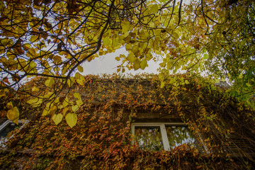 old house in bucharest city center