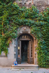 Fototapeta na wymiar entrance door covered with vegetation in Bucharest city center