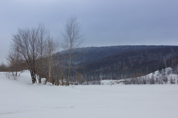 Winter snowy landscape with hills and trees