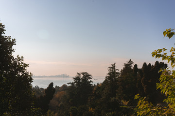 cliff from a cliff overlooking the sea and the forest. Botanical garden in the city of Batumi from a height. Coastline. Fall season