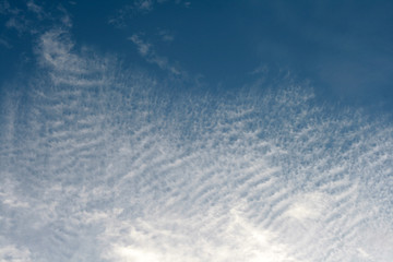 Fototapeta premium blue sky and white clouds
