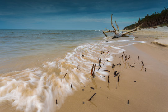View of the beaches in Karwienskie Blota, Poland.