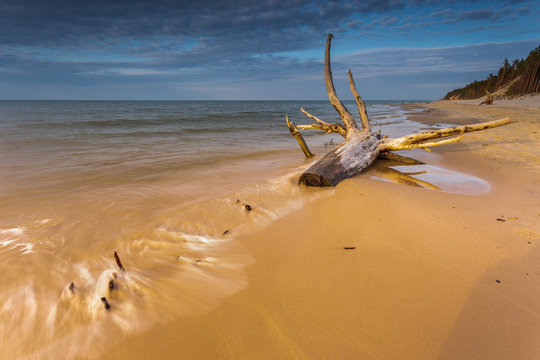 View of the beaches in Karwienskie Blota, Poland.