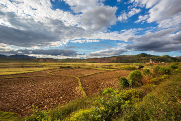 Rice fields landscape, Andasibe, Madagascar