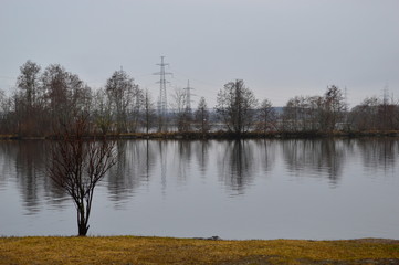 reflection of trees in water