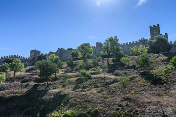 Castle of Montemor or Vello, in Mondego Portugal