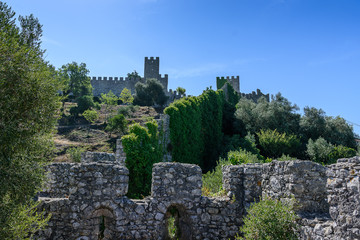Castle of Montemor or Vello, in Mondego Portugal