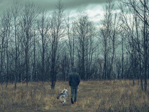 Man and wolf dog going to forest with cloudy sky
