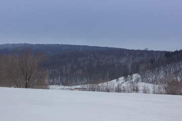 Winter snowy landscape with hills and trees