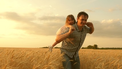 little daughter on fathers shoulders. happy child and father are playing in field of ripening wheat. baby boy and dad travel on field. kid and parent play in nature. happy family and childhood concept