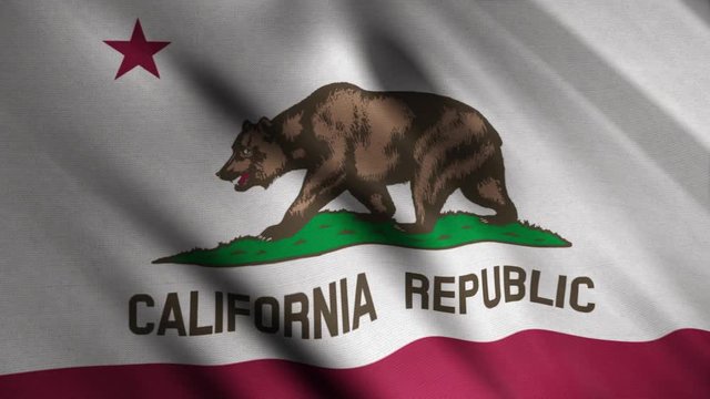 Close-up of waving flag of California Republic. Animation. Animated background with white flag waving in wind with red stripe and picture of bear. State in North America