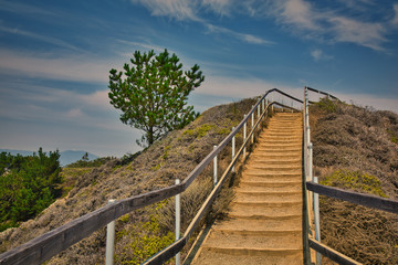 Fototapeta na wymiar Dirt and sand staircase up a hill