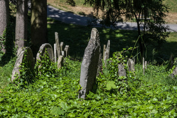 UNESCO protected Jewish Cemetery of Trebic, Czech Republic with old Hebrew carved tomb stones.