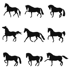 Set of silhouettes free trotting horses