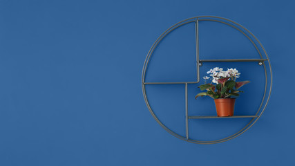 Shelf with houseplant hanging on blue wall