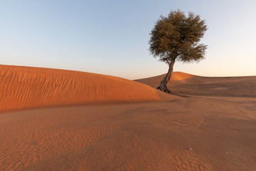 Wüste von Dubai