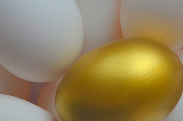 Golden large egg on the background of white eggs lies.  Concept: a promising opportunity, a happy chance in life, a unique opportunity, to enrich yourself, the right choice, win
