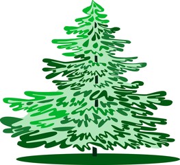 Fototapeta premium green coniferous and deciduous trees drawn in abstraction on an isolated white background