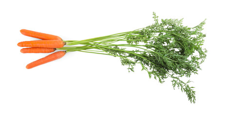 Bunch of fresh ripe carrots isolated on white
