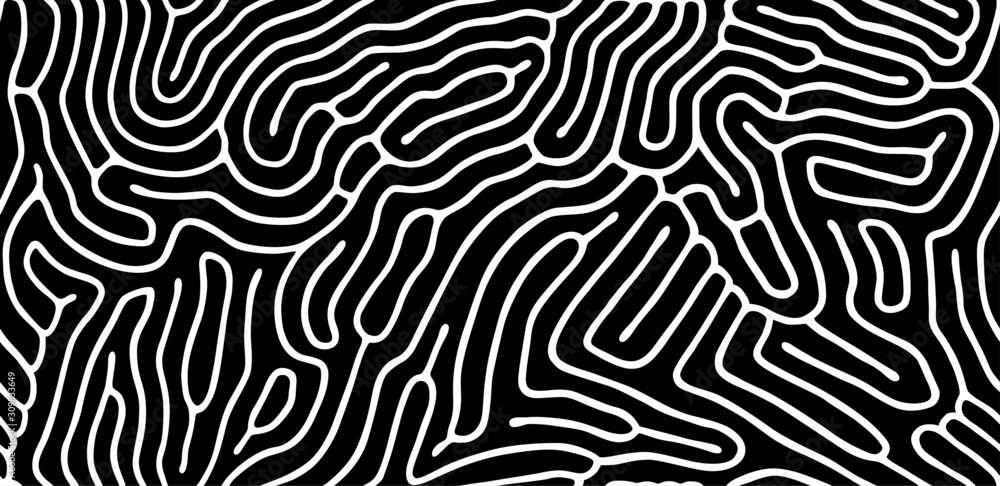 Wall mural vector seamless maze pattern. organic irregular rounded lines. abstract background.