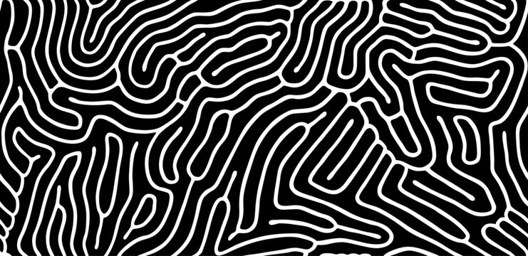 Vector seamless maze pattern. Organic irregular rounded lines. Abstract background.
