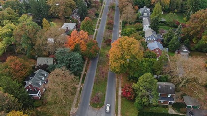 Suburban residential area with two lane road beneath alley of trees in colourful autumn foliage, fancy housing in luxurious neighbourhood, traditional architecture and design, aerial view